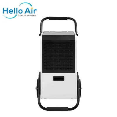Fresh Air Dehumidifier With Activated Carbon Filter, Freezer Dehumidifier With R290